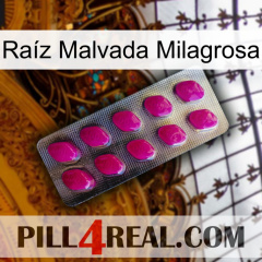 Raíz Malvada Milagrosa 09